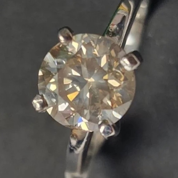 Meet your Posher, Harper - Picture 1 of 13